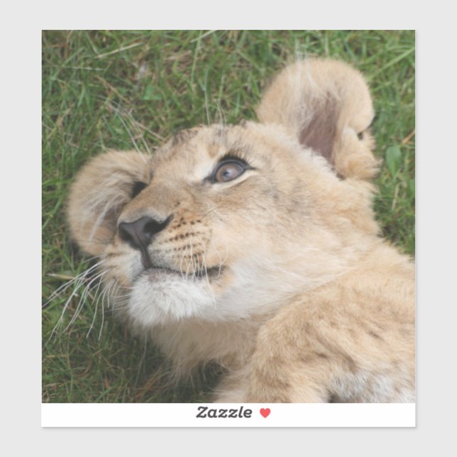 Pegatina Lion 022 (Hoja)