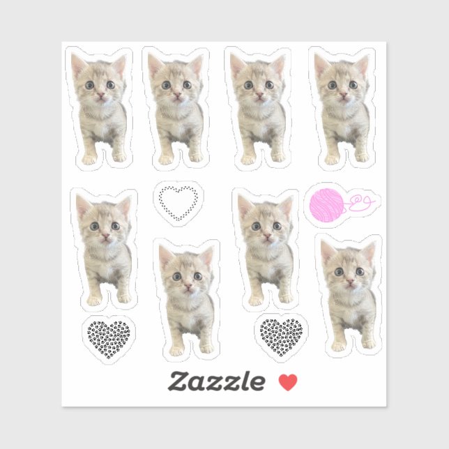 Pegatina Little Miss Winter - Cat / Kitten (Hoja)