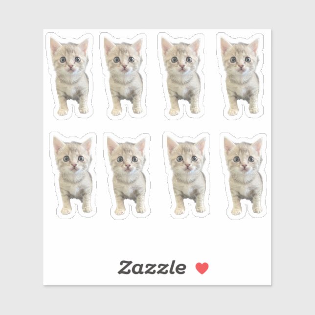 Pegatina Little Miss Winter - Cat / Kitten (Hoja)