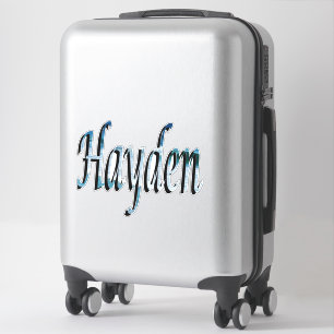 Pegatina Logotipo de nombre Hayden