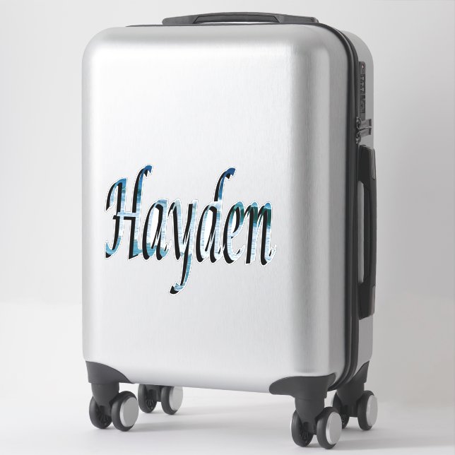 Pegatina Logotipo de nombre Hayden (Maleta)
