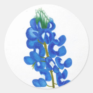 Pegatina Lone Star Bluebonnet