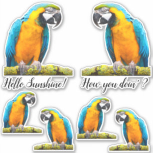 Pegatina Loro colorido en el Personalizado de sucursal de L