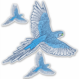 Pegatina Loro en vuelo, azul cobalto y blanco