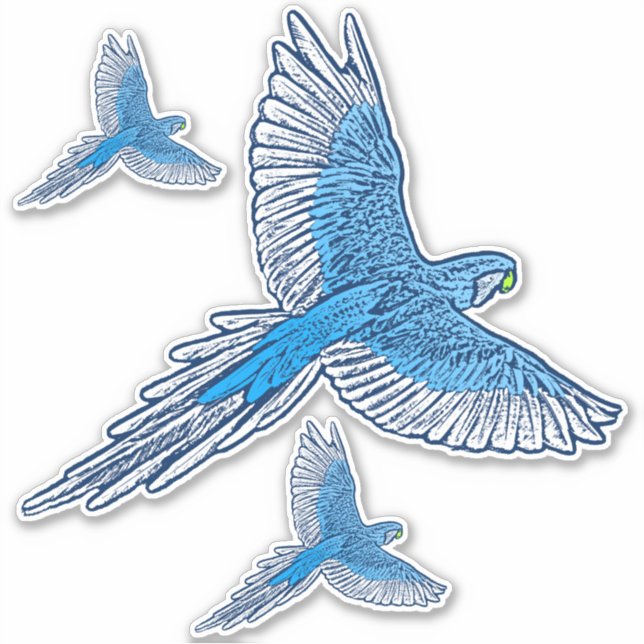 Pegatina Loro en vuelo, azul cobalto y blanco (Anverso)