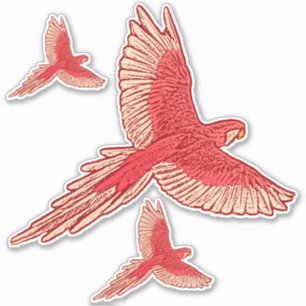 Pegatina Loro en vuelo, Coral Naranja y Cream