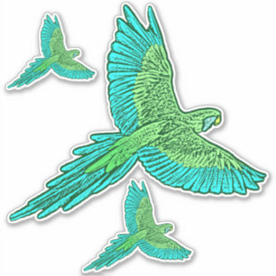 Pegatina Loro en vuelo, Jade Green y Turquesa