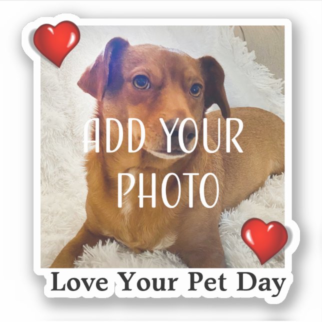 Pegatina Love Your Pet Day (Anverso)