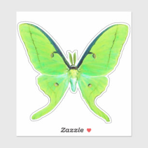 Pegatina Luna Moth - Verde animado y verde pálido