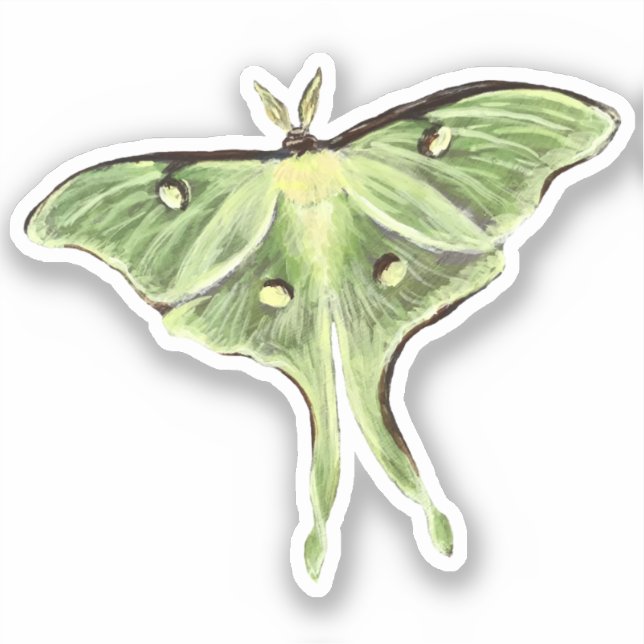 Pegatina Luna Moth Vinyl (Anverso)