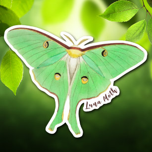 Pegatina Luna Verde Moth