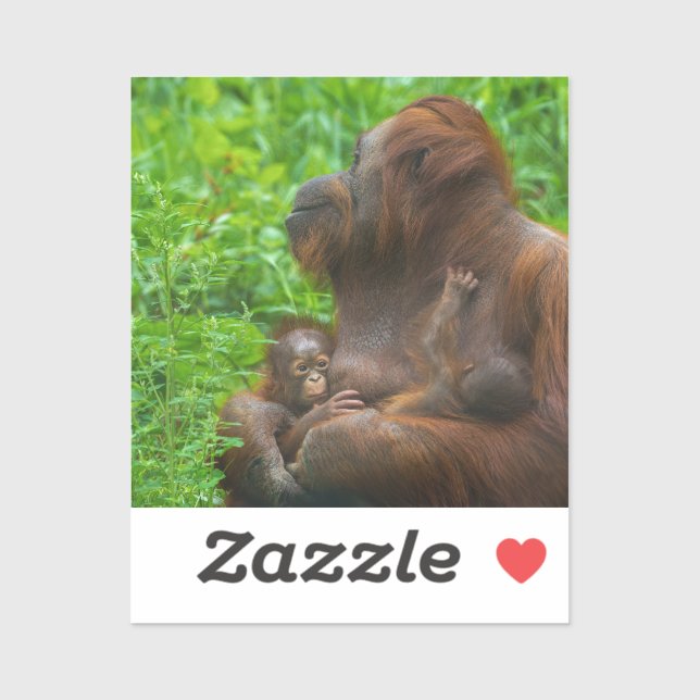 Pegatina Madre y bebé de Orangután (Hoja)