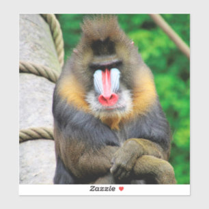Pegatina Mandrill 001