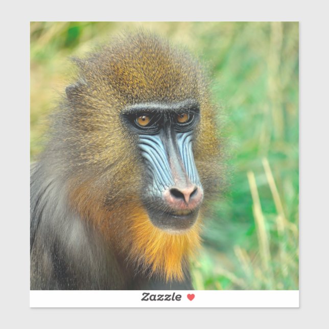 Pegatina Mandrill 002 (Hoja)
