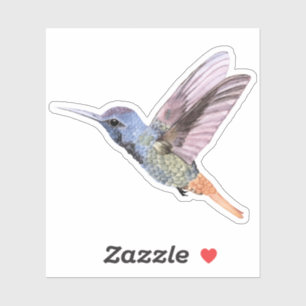 Pegatina Mano colibrí