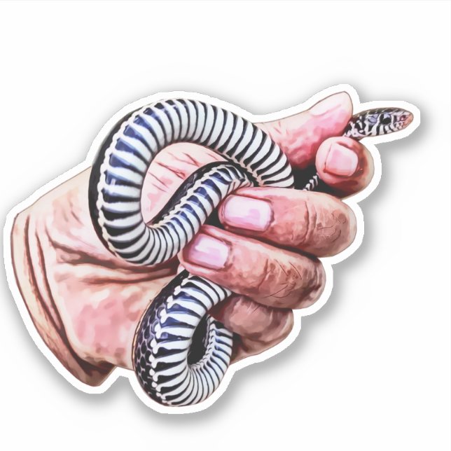 Pegatina mano sujetando animales de reptiles de serpiente (Anverso)