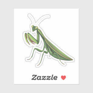 Pegatina Mantis rezando ilustrados