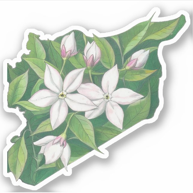 Pegatina Mapa de Jasmine خ・ط・ Syria س・・・・・・・ س・・・・ن. (Anverso)