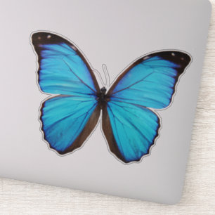 Pegatina Mariposa azul 1