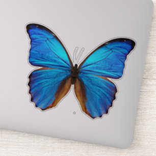 Pegatina Mariposa azul 2