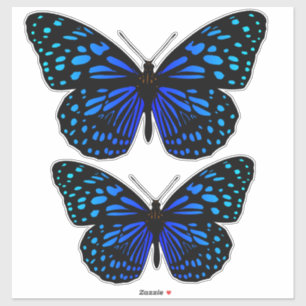 Pegatina Mariposa azul Thunder_Cove