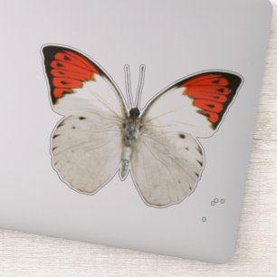 Pegatina Mariposa blanca y roja
