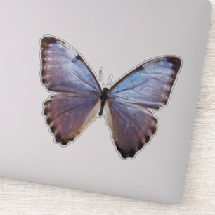Pegatina Mariposa irlandesa