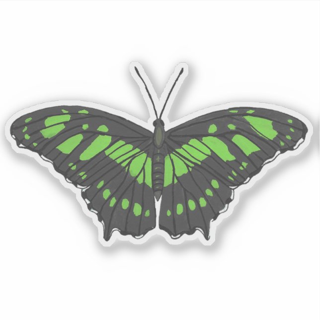 Pegatina Mariposa malaquita (Anverso)
