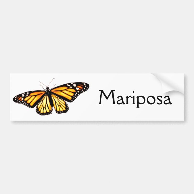 Pegatina mariposa monarca (Frente)