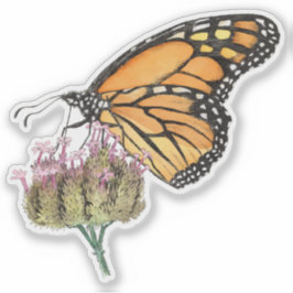 Pegatina Mariposa monarca en la acuarela Verbena y tinta