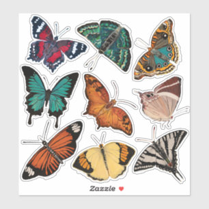 Pegatina Mariposas (Hoja 3 Alfabeto de mariposas)
