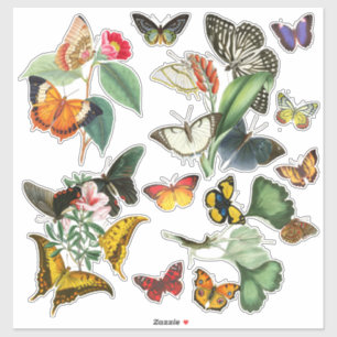 Pegatina Mariposas y flores de arte vintage coloridas