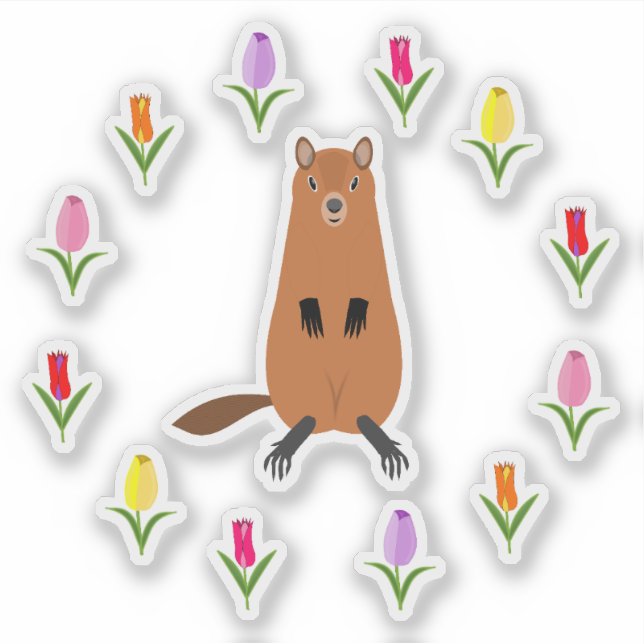 Pegatina Marmota Adorable y Flores de Tulipán (Anverso)