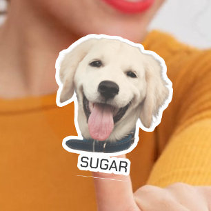 Pegatina Mascota de gato de perro fotográfico personalizado