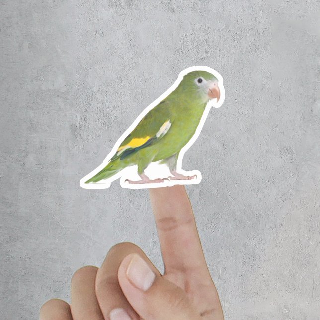 Pegatina Mascota gracioso saca foto Personalizado (Funny Pet Cut Out Custom Photo Sticker
)