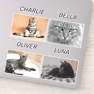 Pegatina Mascota personalizado de la foto del gato personal