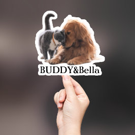 Pegatina Mascota personalizado Pegatina, Personalizado Pega