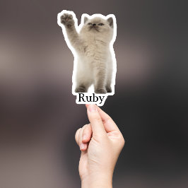 Pegatina Mascota personalizado Pegatina, Personalizado Pega