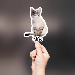 Pegatina Mascota personalizado Pegatina, Personalizado Pega