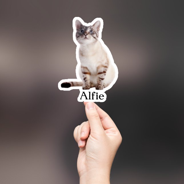 Pegatina Mascota personalizado Pegatina, Personalizado Pega (Subido por el creador)