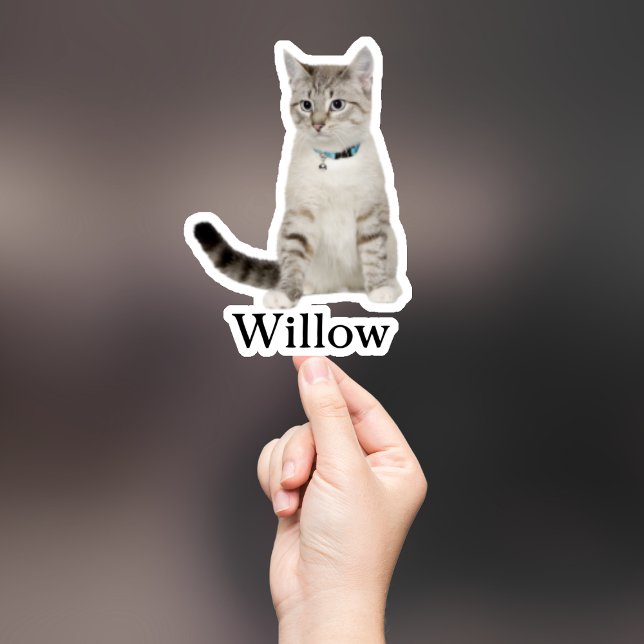 Pegatina Mascota personalizado Pegatina, Personalizado Pega (Subido por el creador)