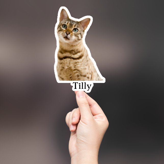 Pegatina Mascota personalizado Pegatina, Personalizado Pega (Subido por el creador)