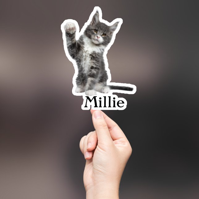 Pegatina Mascota personalizado Pegatina, Personalizado Pega (Subido por el creador)