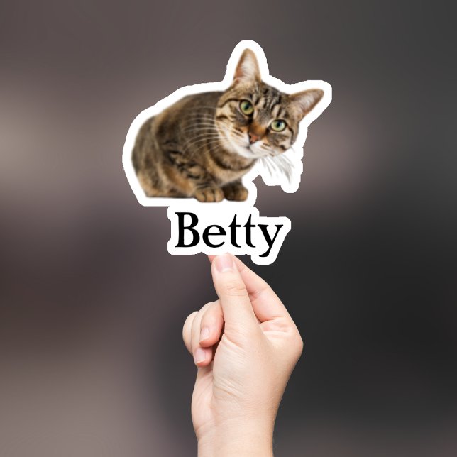 Pegatina Mascota personalizado Pegatina, Personalizado Pega (Subido por el creador)