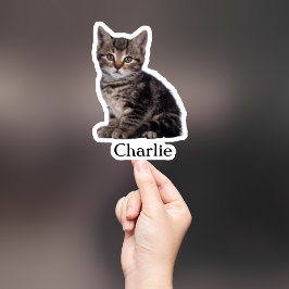 Pegatina Mascota personalizado Pegatina, Personalizado Pega