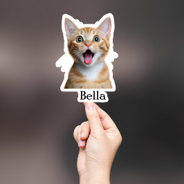 Pegatina Mascota personalizado Pegatina, Personalizado Pega