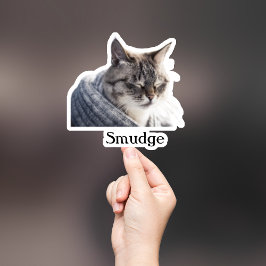 Pegatina Mascota personalizado Pegatina, Personalizado Pega