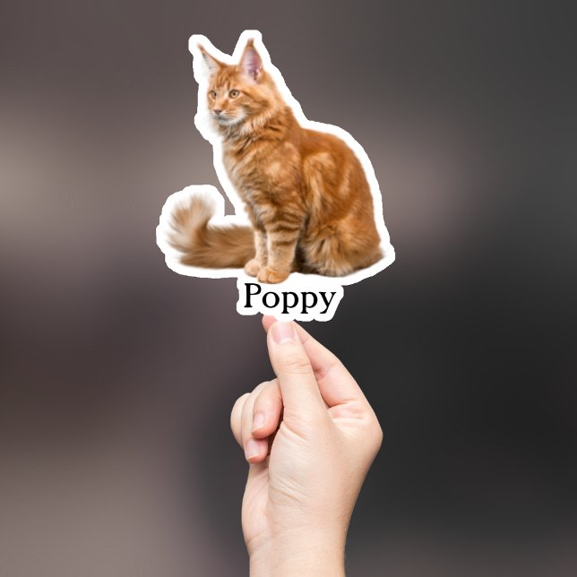 Pegatina Mascota personalizado Pegatina, Personalizado Pega (Subido por el creador)