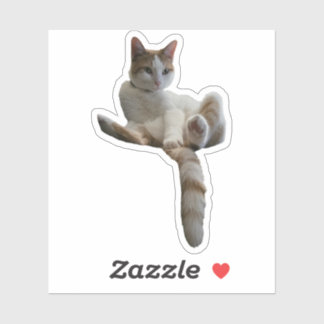 Pegatina Maybe You Should Cover That Up? Cat