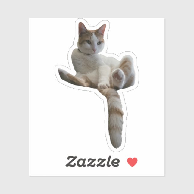 Pegatina Maybe You Should Cover That Up? Cat (Hoja)